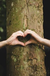 hand symbol heart with tree as a background
