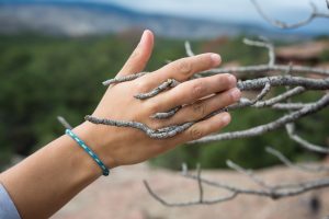 handshake with a tree