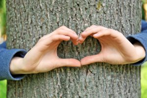 Female hands hugging tree