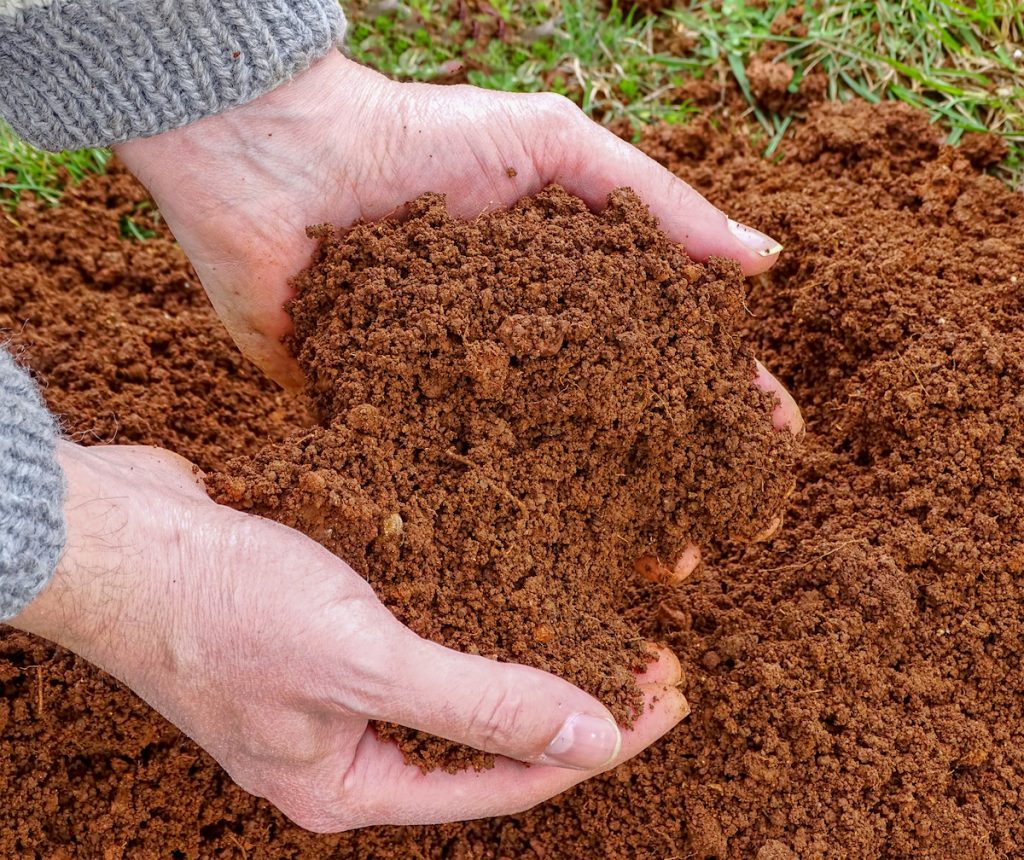 soil tips for winter